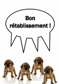 Chiens mignons pour un prompt r&eacute;tablissement